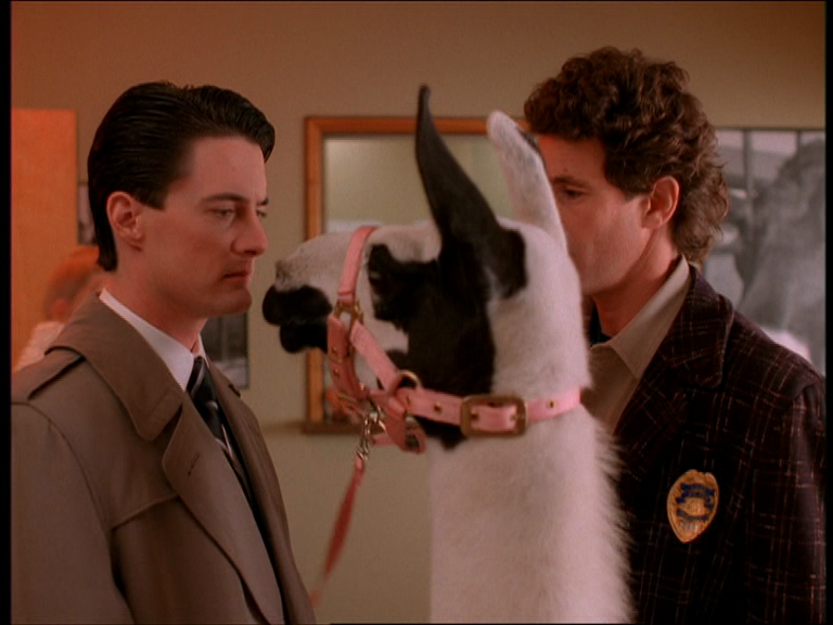 twin peaks wild at heart what watch first
