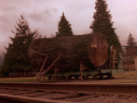 Big Log