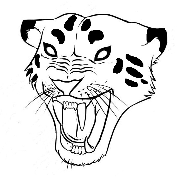how to draw a jaguar step 7jpg