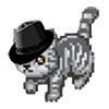 CATZON