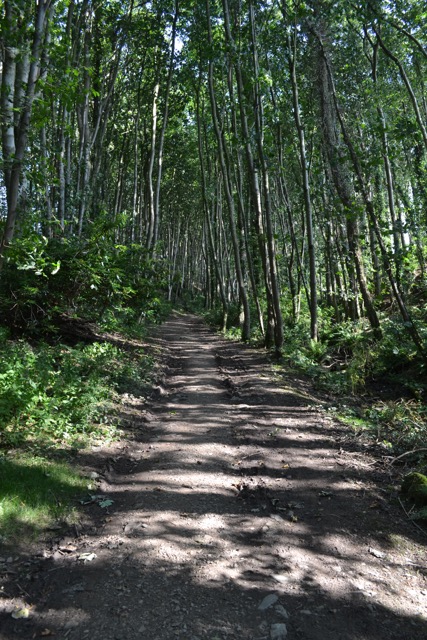 Path