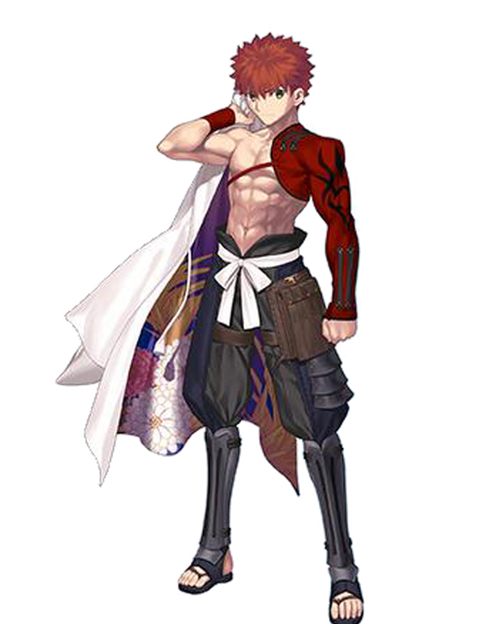 心に強く訴える Fategrand Order Material V 心に強く訴える Fategrand Order Material V