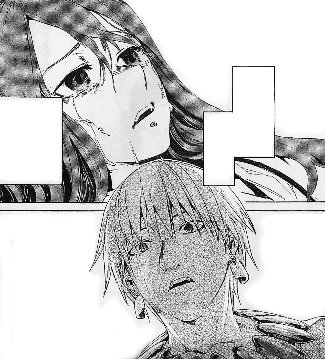 False Lancer Type Moon Wiki Fandom