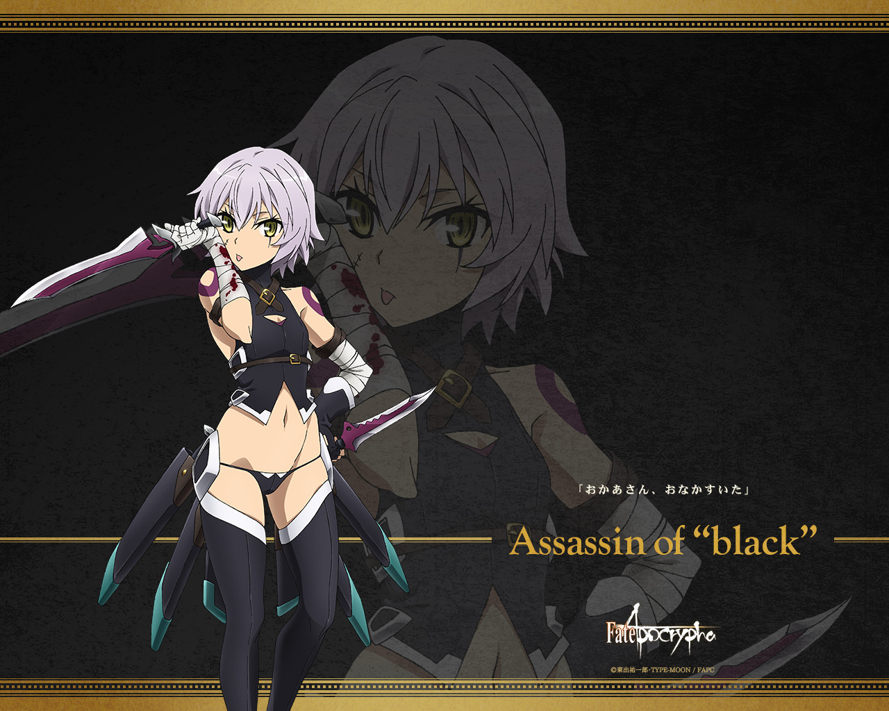 Assassin Of Black Type Moon Wiki Fandom
