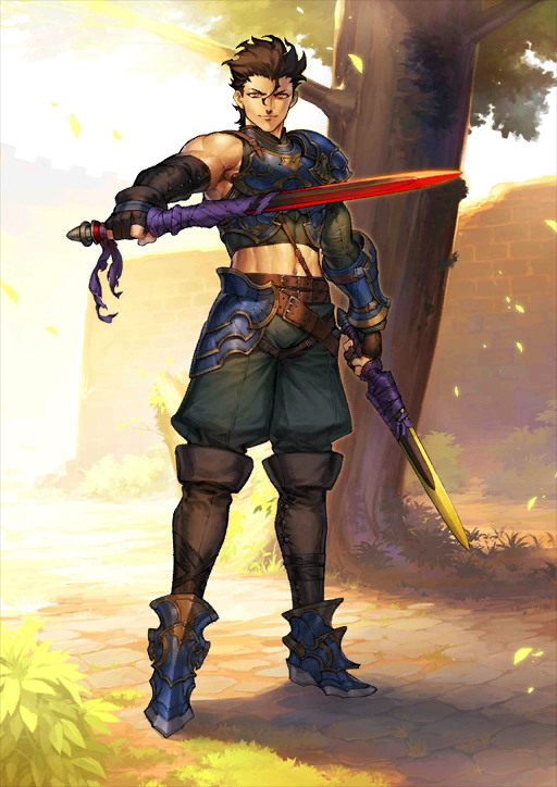 Saber (Fate/Grand Order - Diarmuid) | TYPE-MOON Wiki | FANDOM powered