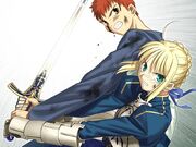 Fate 230