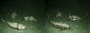 Zoukens Blood Worms