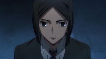 Get Wallpaper Waver Velvet Type Moon Wiki Fandom For Free