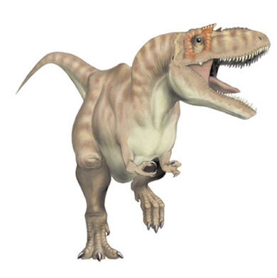 Albertosaurus libratus