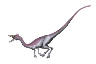 Nqwebasaurus2