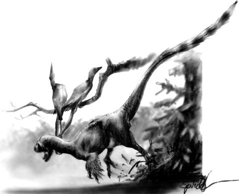 Aviatyrannis