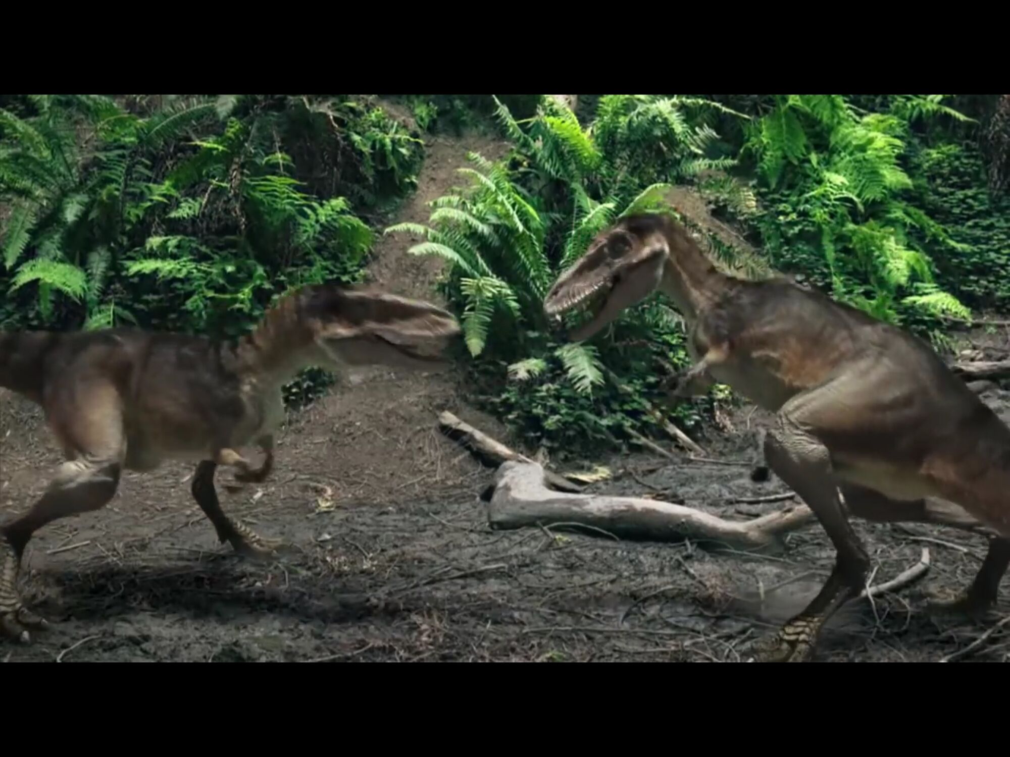 Tyrannosaurus Chicks (Dinosaur Revolution) | T. Rex Wiki | Fandom