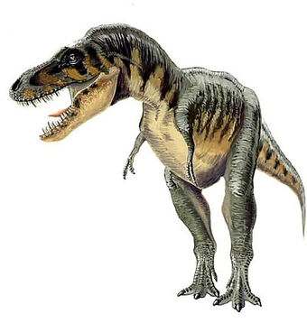 Tarbosaurus T Rex Wiki Fandom - ground tyrannosaurus roblox