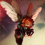 Dragonfly lv3