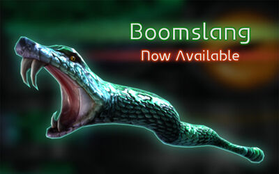 0205-Boomslang