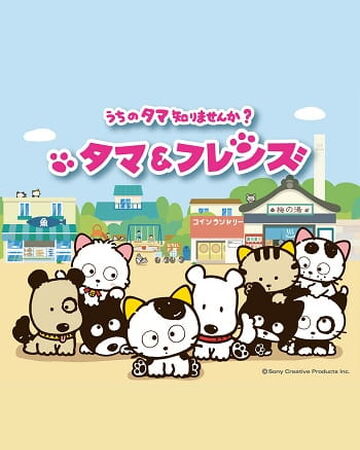 Wallpaper Tama And Friends Uchi No Tama Shirimasen Ka Uchi Tama Uchi For Android