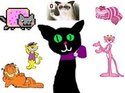 Mhrok2
