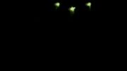 AB0B4C9F-DD3A-4385-97F6-CB5E99C8363E