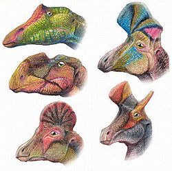 250px-Hadrosauroids