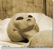 Alien autopsy