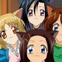 Wallpaper Catgirl Maid Squad Ufo Ultramaiden Valkyrie Wiki Fandom For iPhone Free