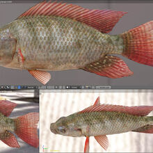 Ultimate Fishing Simulator Wiki Fandom