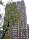 10 ree road court painting