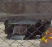 Bullbot