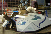 Manta