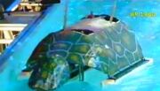 TurnTurtle tg02
