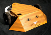 Thecat