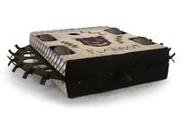 Flailbot sf01