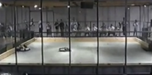 Kahafre pitted