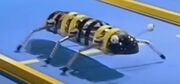 Bumble tg03