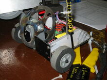 Dplus-0