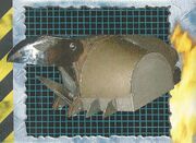 Cerberuse