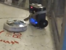 Yinzer flips WHomp