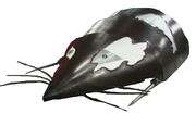 Rattus Rattus