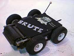 The brute