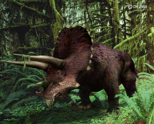 dinosaur like triceratops with two horns