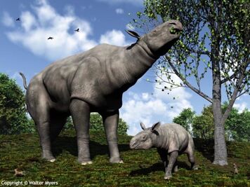 588px-Paraceratherium and child 600