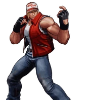Garou Mark Of The Wolves Kof 2003 Terry Bogard Cosplay Costume