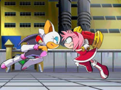 Sonic X Amy-Rouge fight