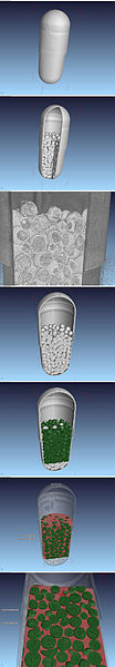 Pharmacological Capsule Diclofenac µCT