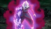 Light of justice