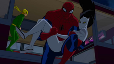 Spiderman x white tiger by laidler123-d5swxjc