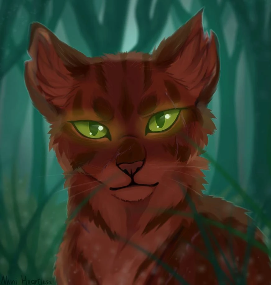 Warrior Cats Warrior cats