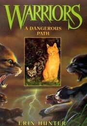A dangerous path cover