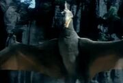 Pteranodon