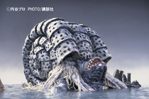 Gatanozoa